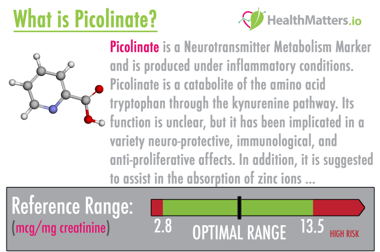 picolinate piclinic acid high low meaning treatment neurotransmitter genova diagnostics