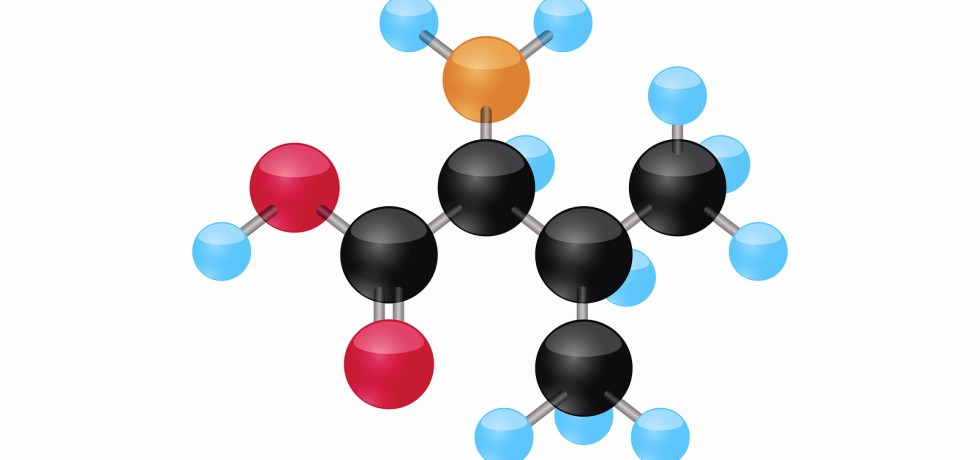 valine high low treatment b6 genova test results meaning treatment healthmatters.io visualize lab results