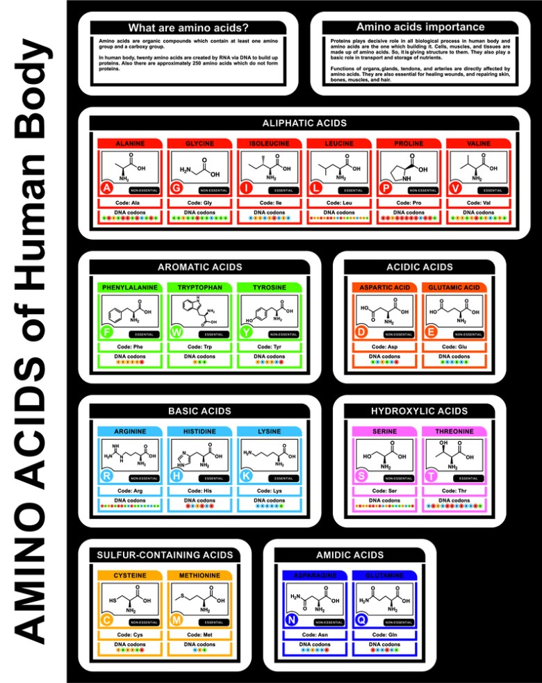 Valine Essential amino acid genova high low meaning treatment healthmatters.io lab results understand