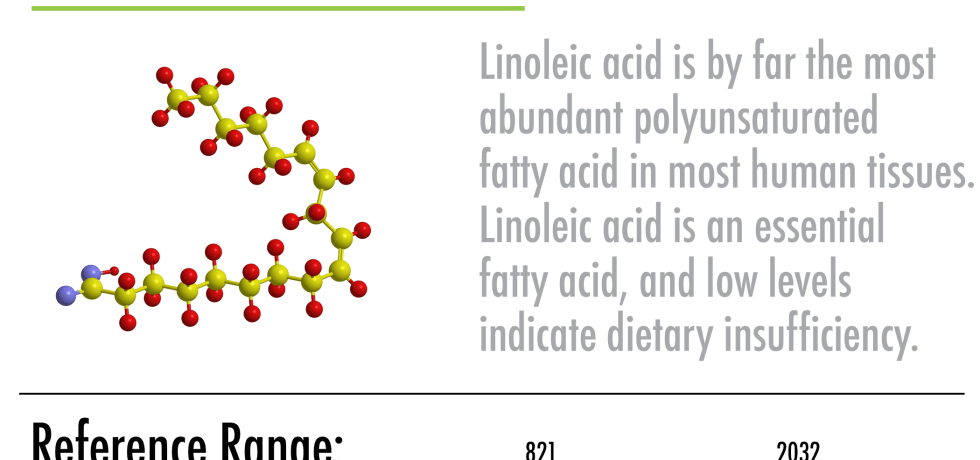 what is linoleic acid high low meaning result interpretation treatment oils vegan