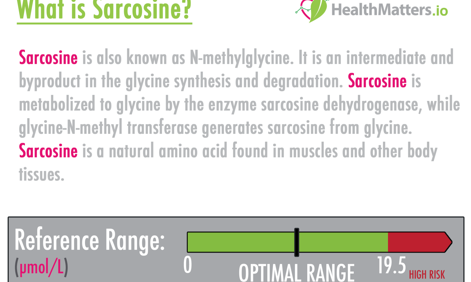 what is sarcosine genova test results meaning interpretation b2 amino acids glycine metabolite high low
