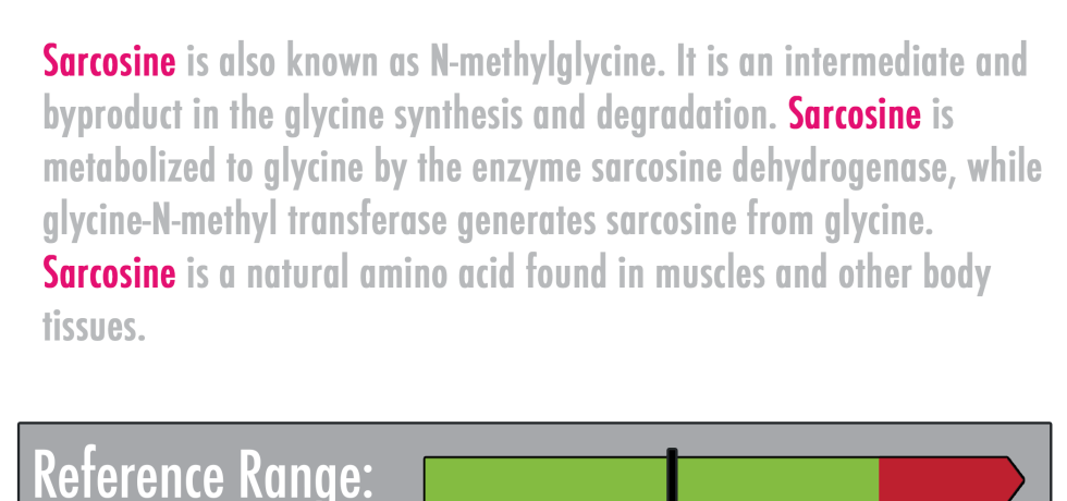 what is sarcosine genova test results meaning interpretation b2 amino acids glycine metabolite high low
