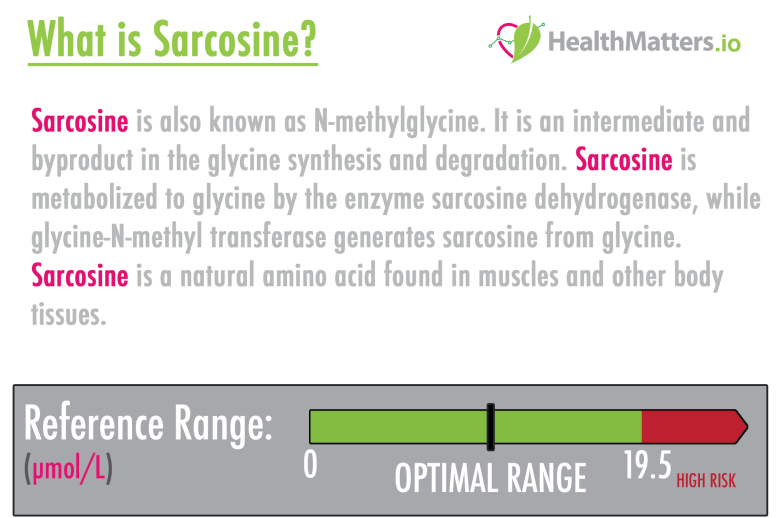 what is sarcosine genova test results meaning interpretation b2 amino acids glycine metabolite high low