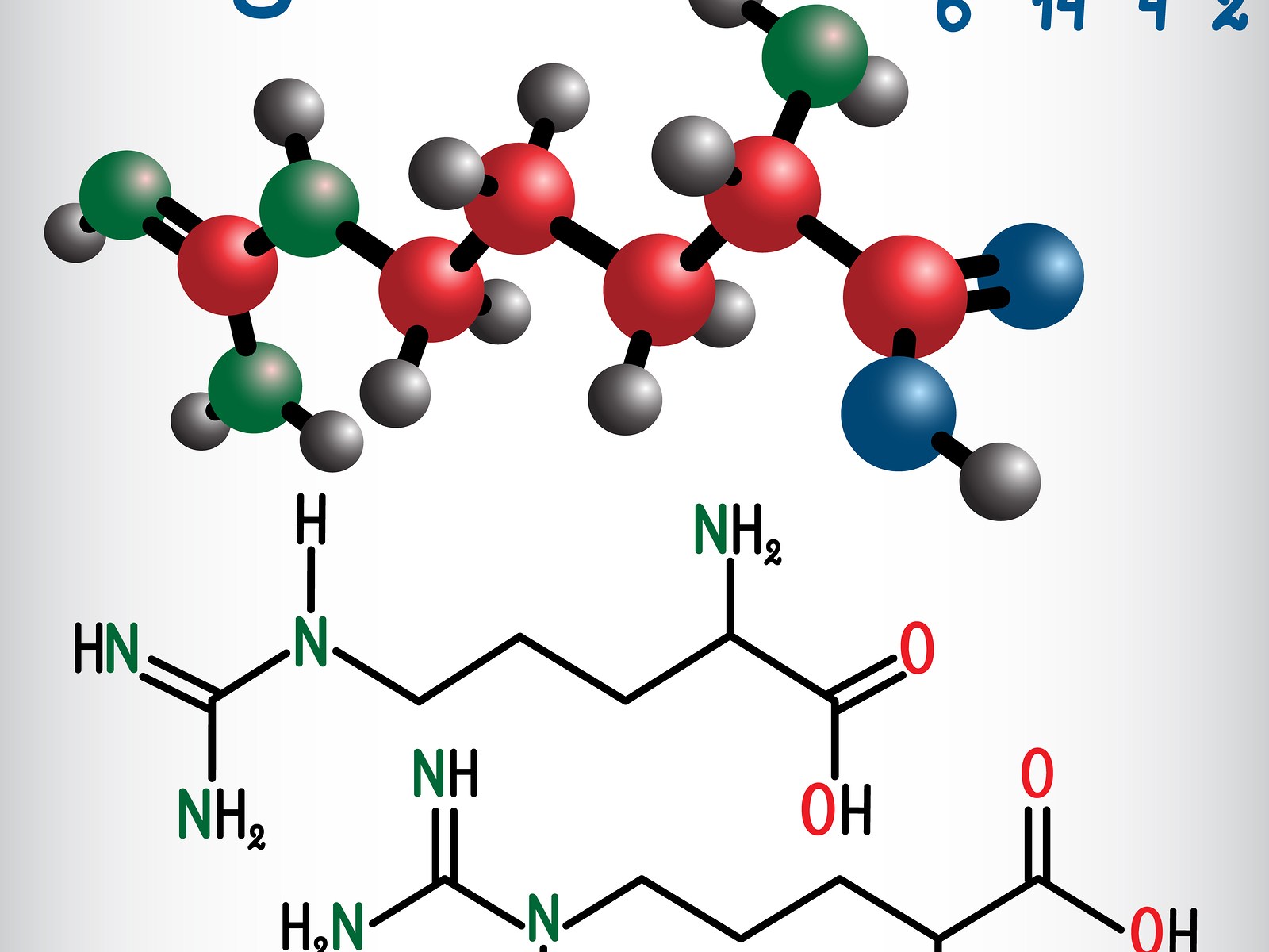arginine high low meaning treatment interpretation genova dutch healthmatters