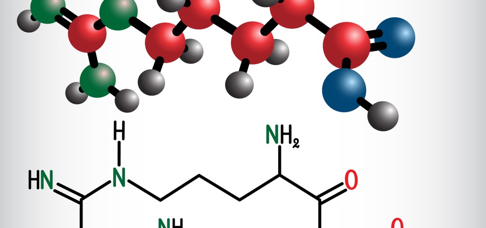 arginine high low meaning treatment interpretation genova dutch healthmatters