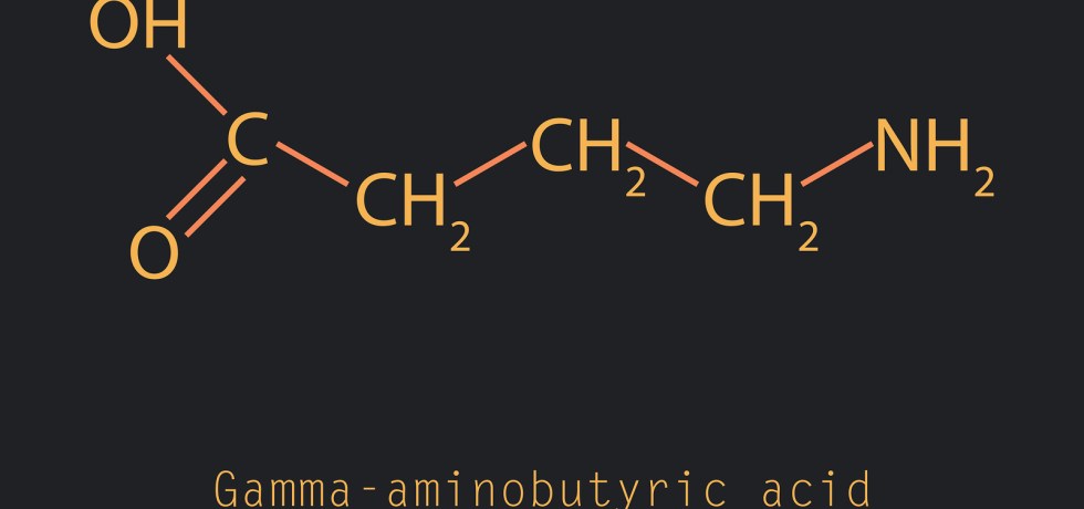 GABA Gamma-aminobutyric acid (GABA) high low meaning result interpretation genova neurotransmitter healthmatters.io
