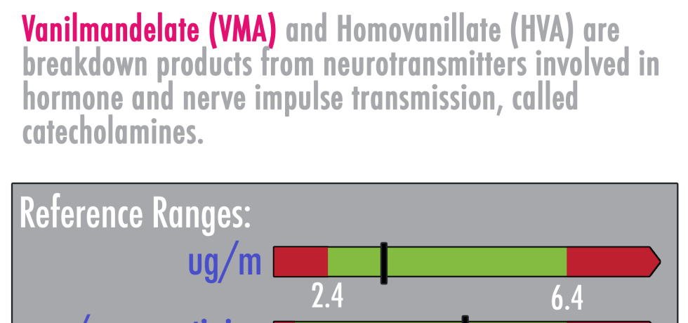 Vanilmandelate high low meaning VMA HVA homovanillate test results interpretation genova dutch pdf