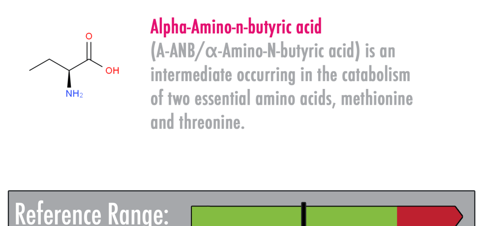 Alpha-Amino-n-butyric acid high low meaning treatment genova healthmatters