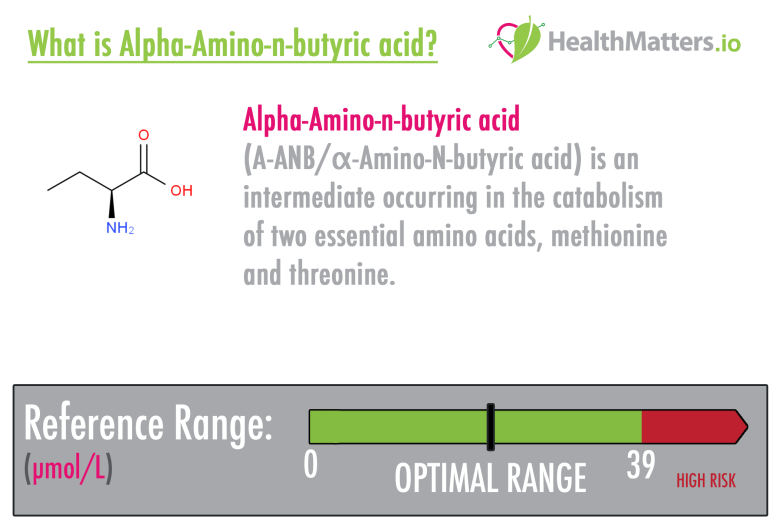 Alpha-Amino-n-butyric acid high low meaning treatment genova healthmatters
