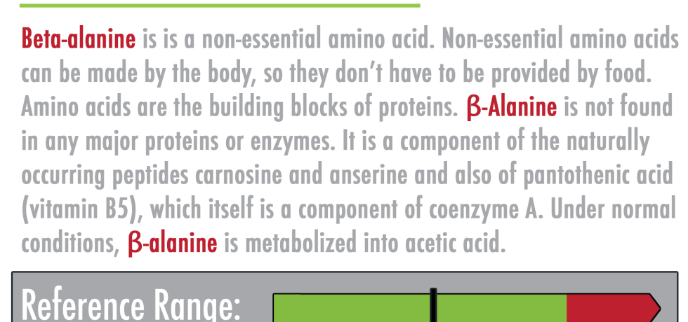 beta-alanine genova high low amino acid non-essential result report meaning treatment
