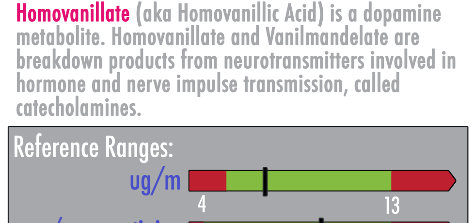 homovanillate metabolite dopamine healthmatters treatment meaning high low