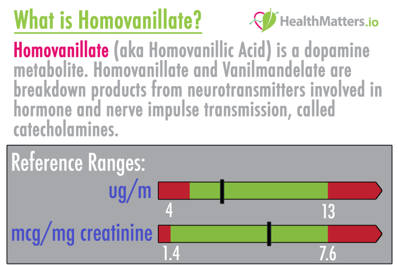 homovanillate metabolite dopamine healthmatters treatment meaning high low
