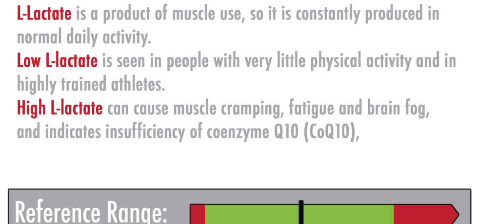 l-lactate high low meaning results reference range interpretation pdf genova dutch
