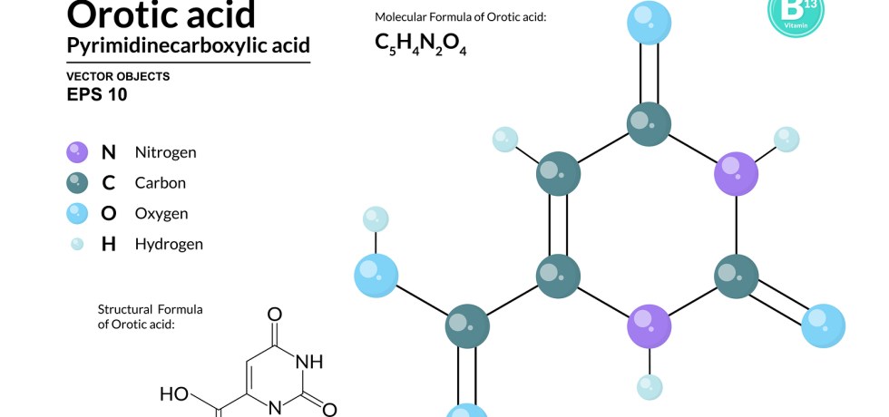 orotate orotic acid healthmatters.io high low meaning treatment symptoms