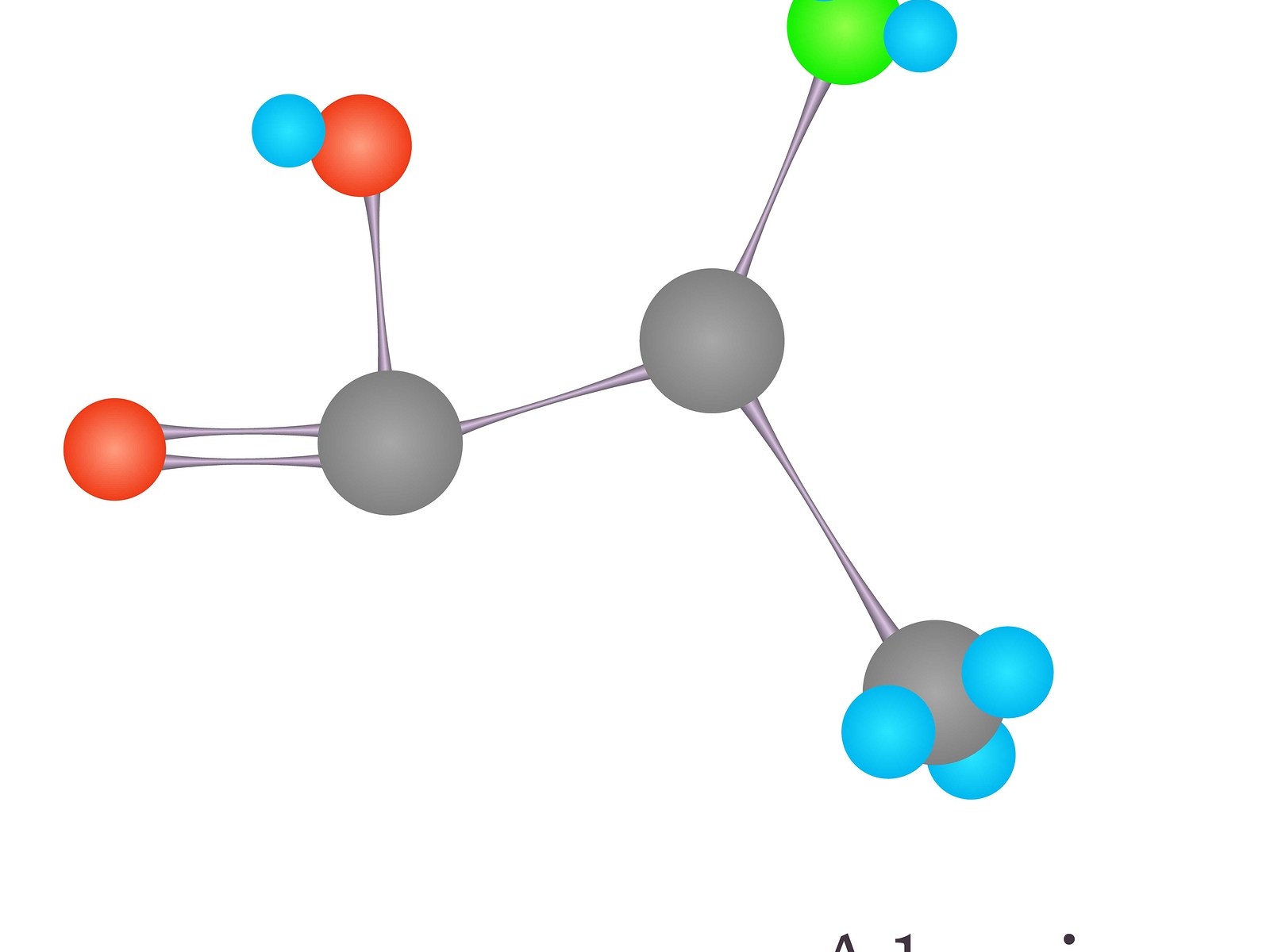 alanine high low meaning genova treatment