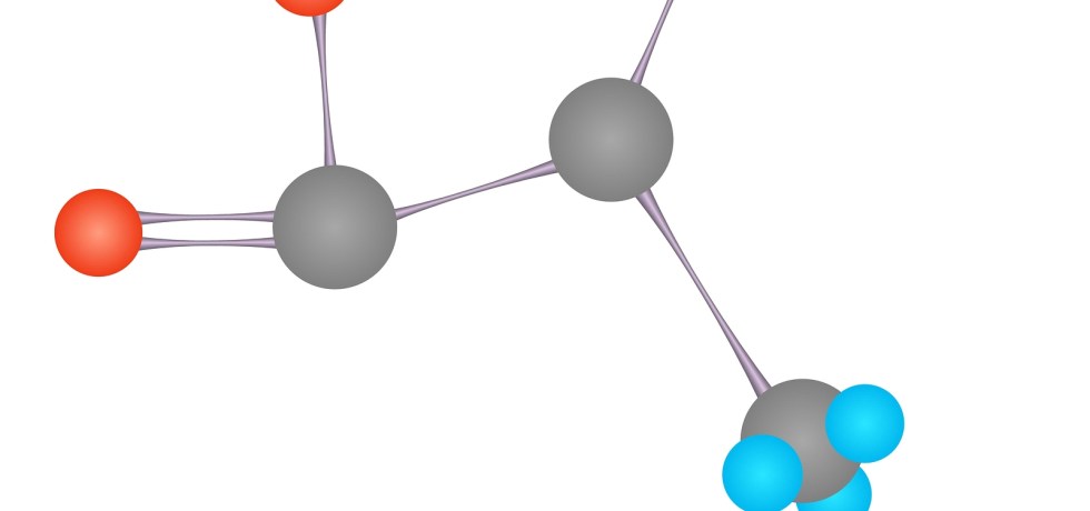 alanine high low meaning genova treatment