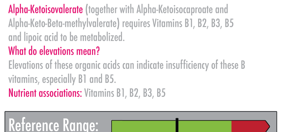 Alpha-Ketoisovalerate high low meaning treatment genova test results interpretation