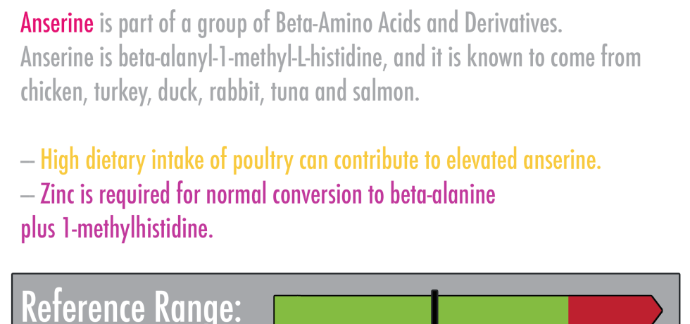 anserine high low meaning treatment interpretation healthmattes genova