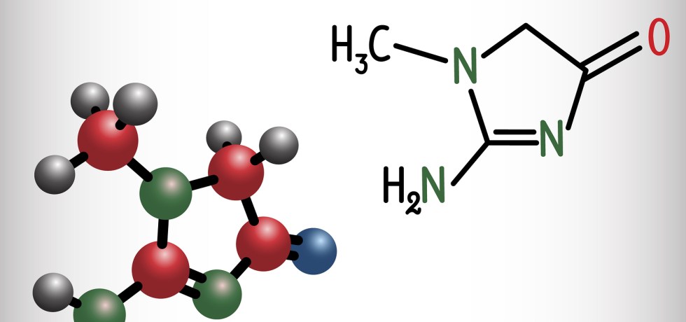 creatinine waking morning afternoon night urine dutch meaning high low treatment interpretation