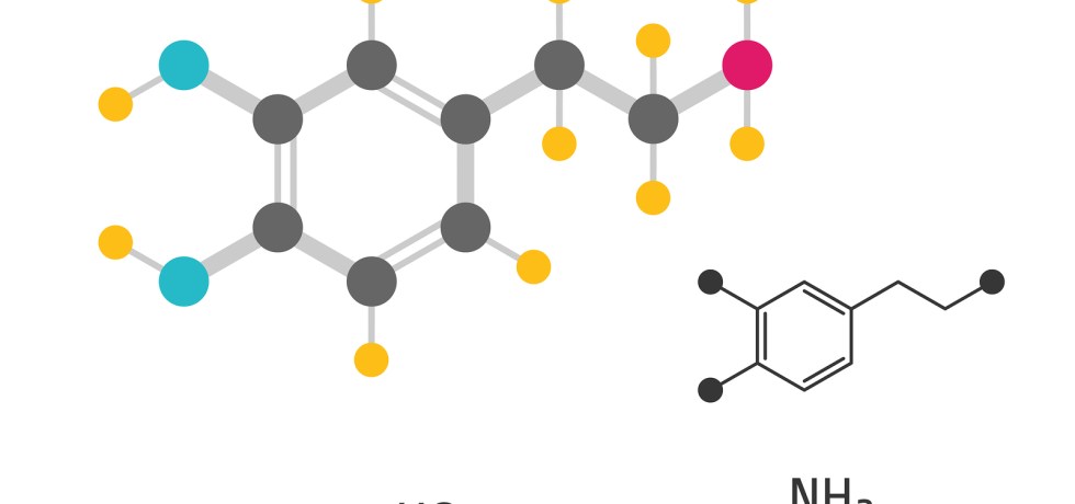Dopac 3,4-Dihydroxyphenylacetic acid high low meaning treatment interpretation