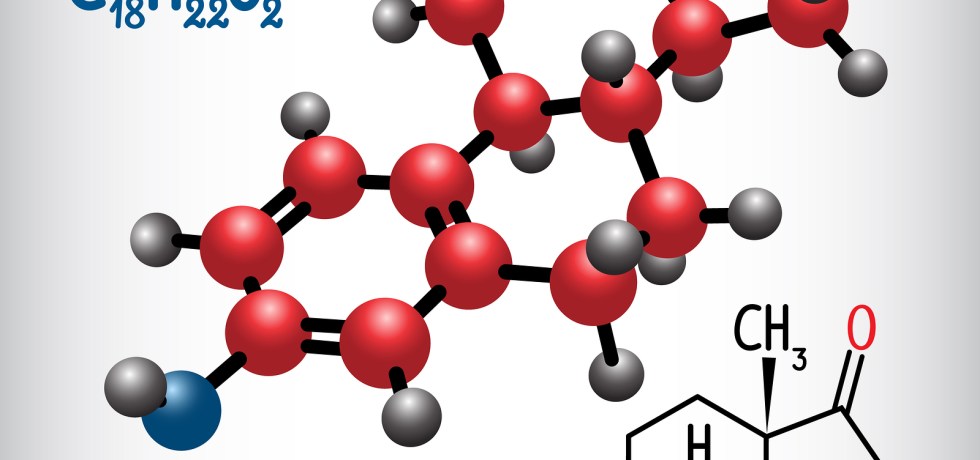 high estrone levels male female hormone treatment symptoms meaning interpretation
