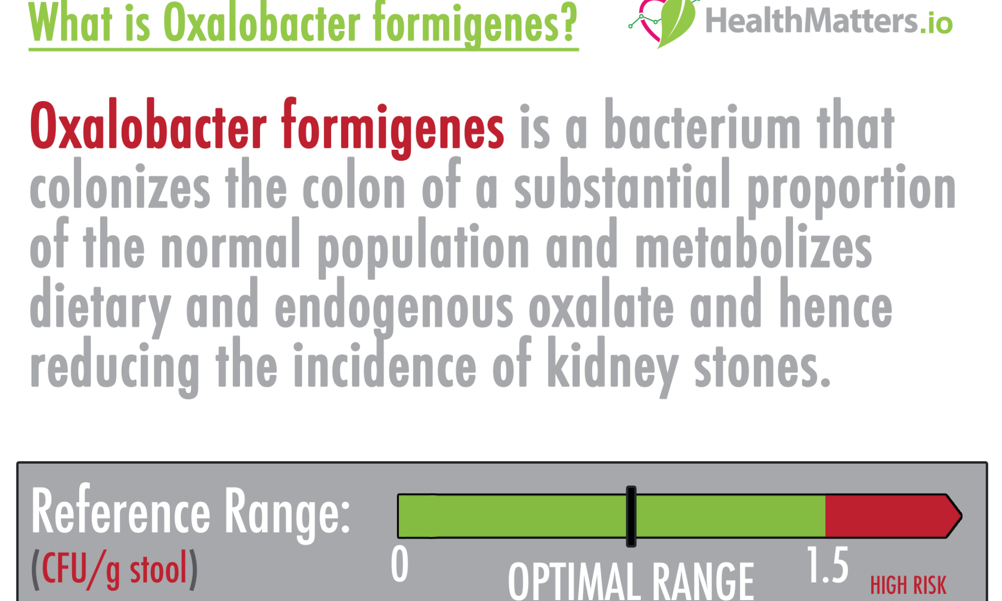oxalobacter formigenes high low meaning kidney stones oxalate colon gut test interpretation treatment