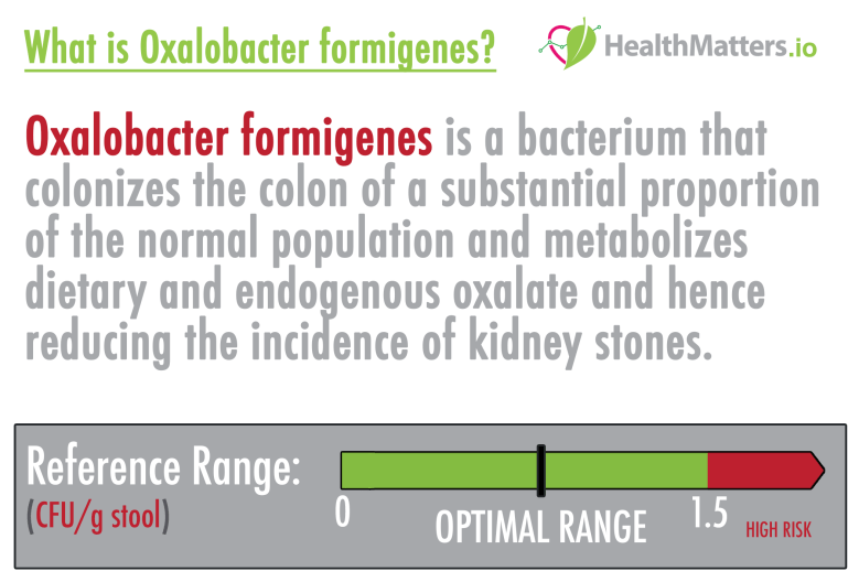 oxalobacter formigenes high low meaning kidney stones oxalate colon gut test interpretation treatment