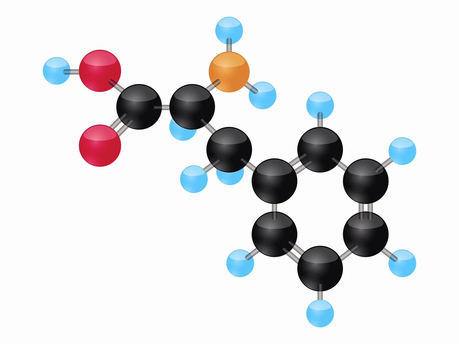 phenylalanine high low meaning treatment interpretation optimal genova healthmatters.io