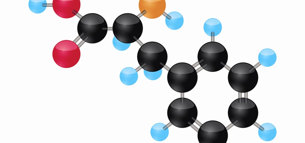 phenylalanine high low meaning treatment interpretation optimal genova healthmatters.io