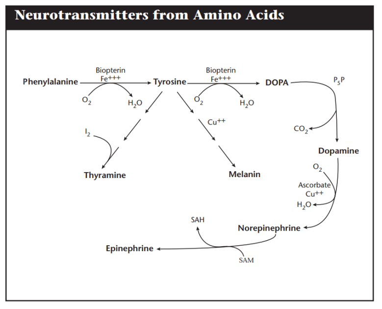 phenylalanine high low meaning treatmente interpretation genova test results healthmatters