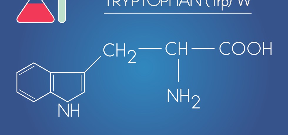 tryptophan high low meaning treatment symptoms interpretation lab results amino acid