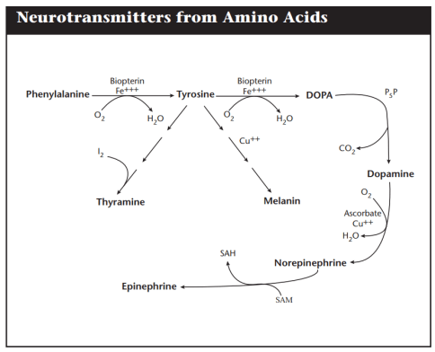 tyrosine high low meaning treatment genova
