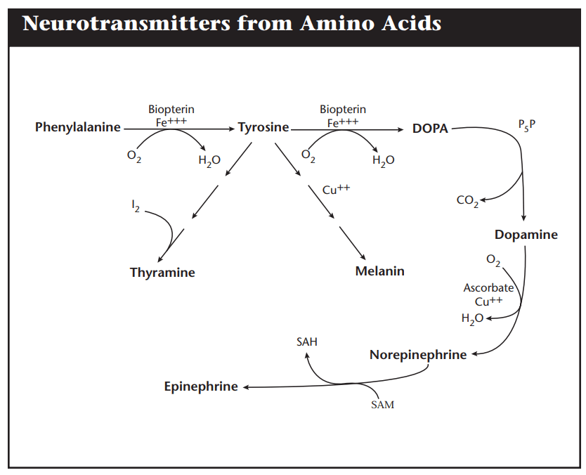 tyrosine high low meaning treatment genova