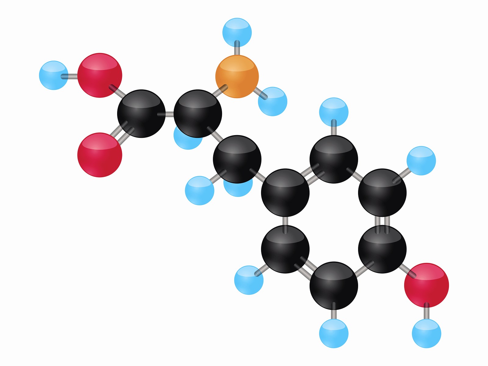 tyrosine high low meaning treatment phenylalanine genova test results report pdf interpretation