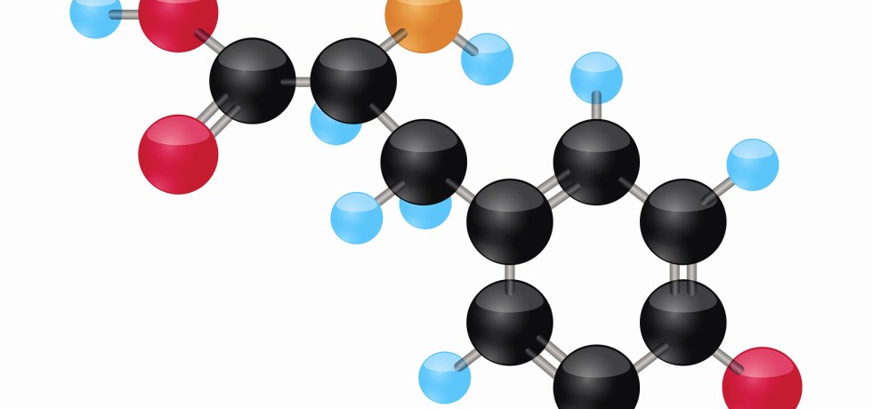 tyrosine high low meaning treatment phenylalanine genova test results report pdf interpretation
