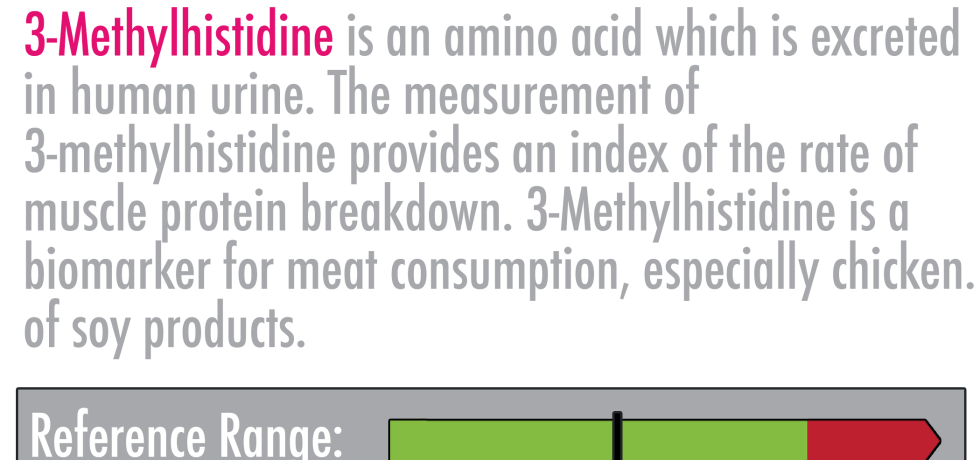 3-Methylhistidine high low meaning symptoms treatment interpretation genova lab test results