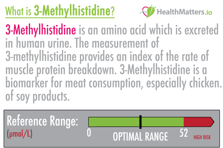 3-Methylhistidine high low meaning symptoms treatment interpretation genova lab test results