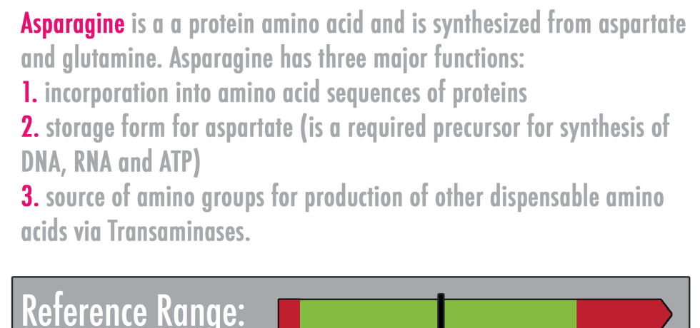 asparagine high low meaning test results treatment symptoms genova gdx pdf
