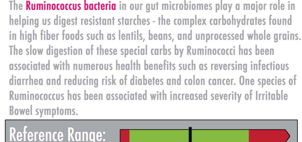 Ruminococcus spp high low meaning treatment results interpretation GI Effects genova