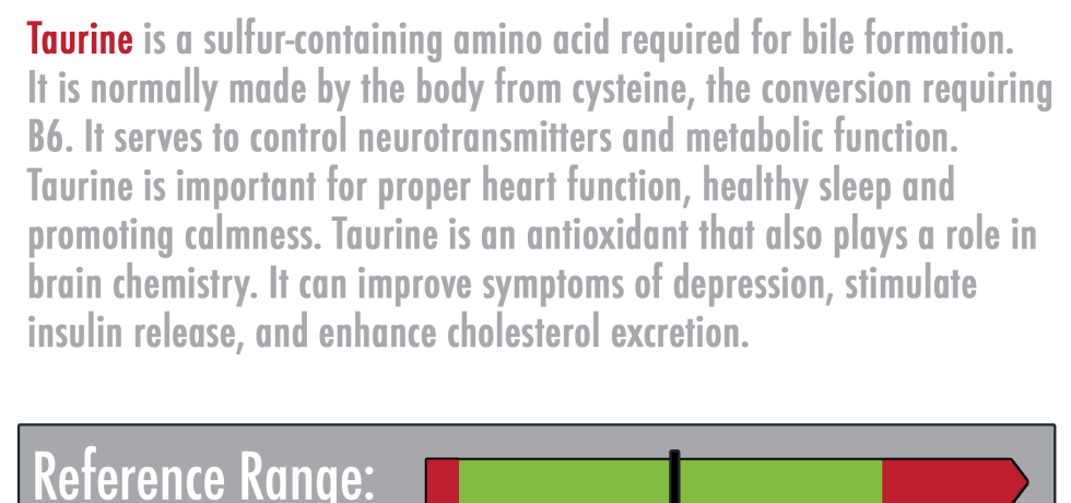 taurine definition high low meaning treatment symptoms test results genova