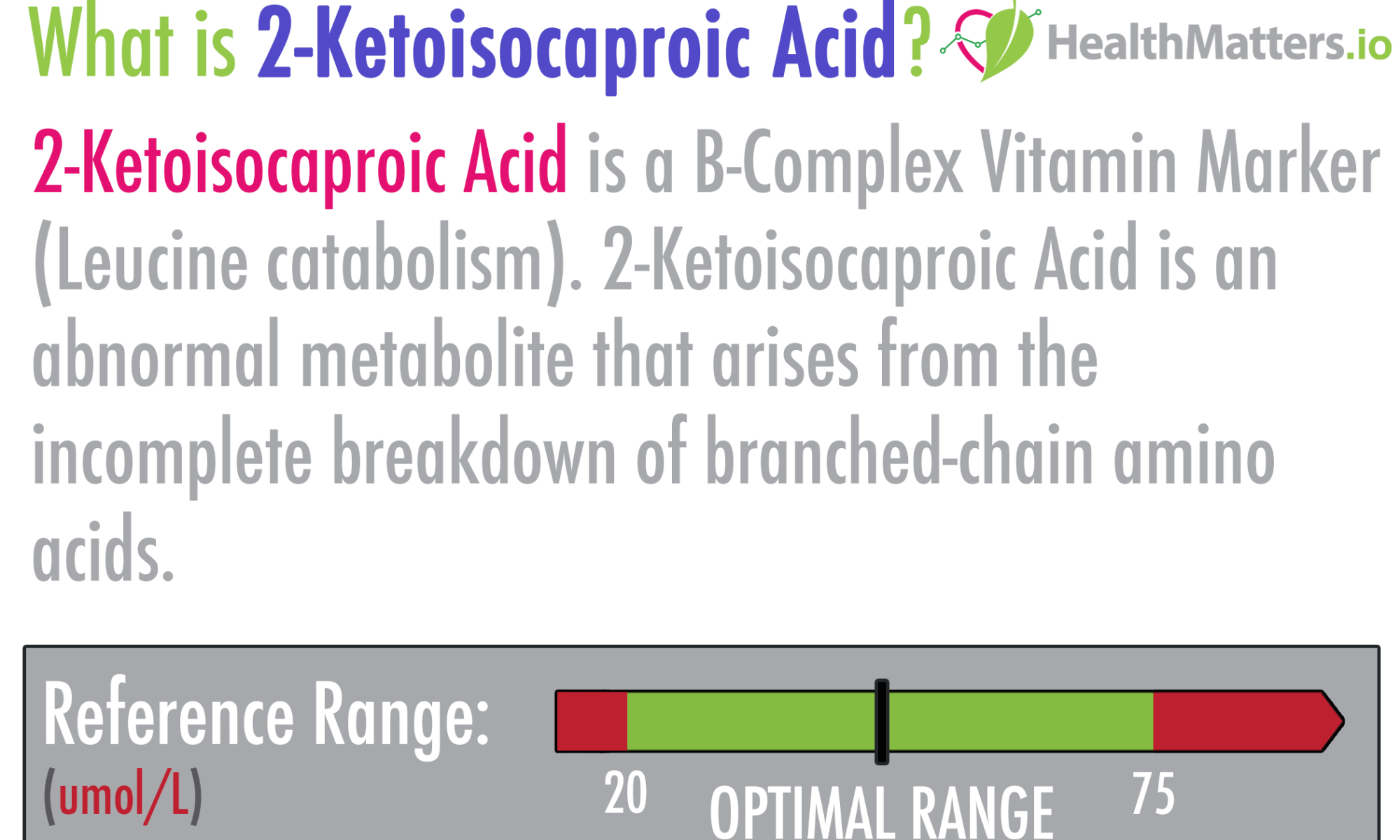 2-Ketoisocaproic Acid high low meaning treatment lab results organic acids gdx genova pdf healthmatters.io