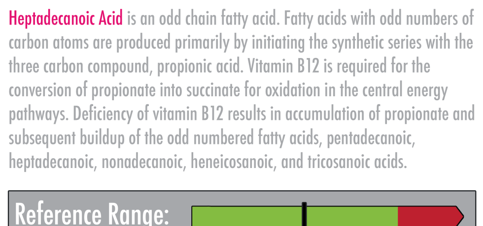 Heptadecanoic acid high meaning treatment b12 vegan gdx genova intgerpretation interpretive functional medicine