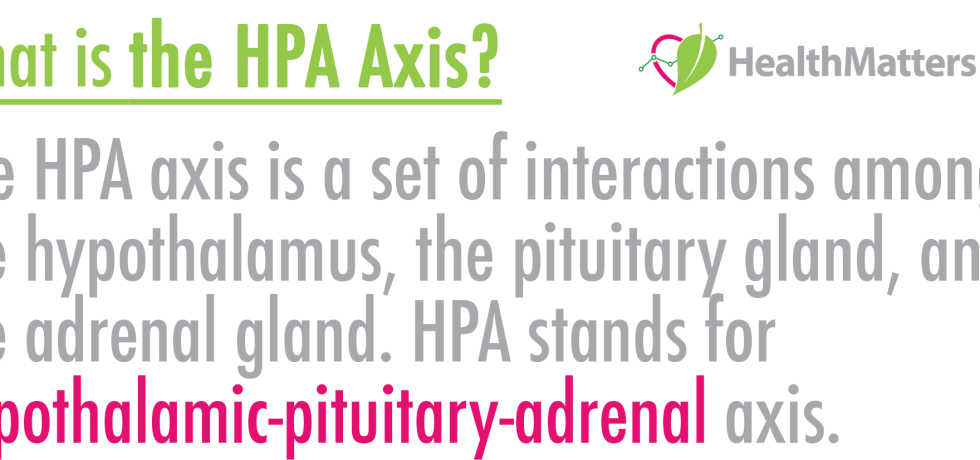The HPA axis is a set of interactions among the hypothalamus, the pituitary gland, and the adrenal gland. HPA stands for hypothalamic-pituitary-adrenal axis.