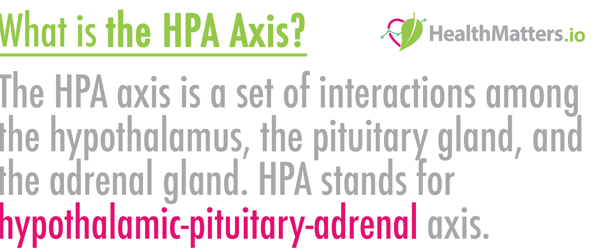 The HPA axis is a set of interactions among the hypothalamus, the pituitary gland, and the adrenal gland. HPA stands for hypothalamic-pituitary-adrenal axis.