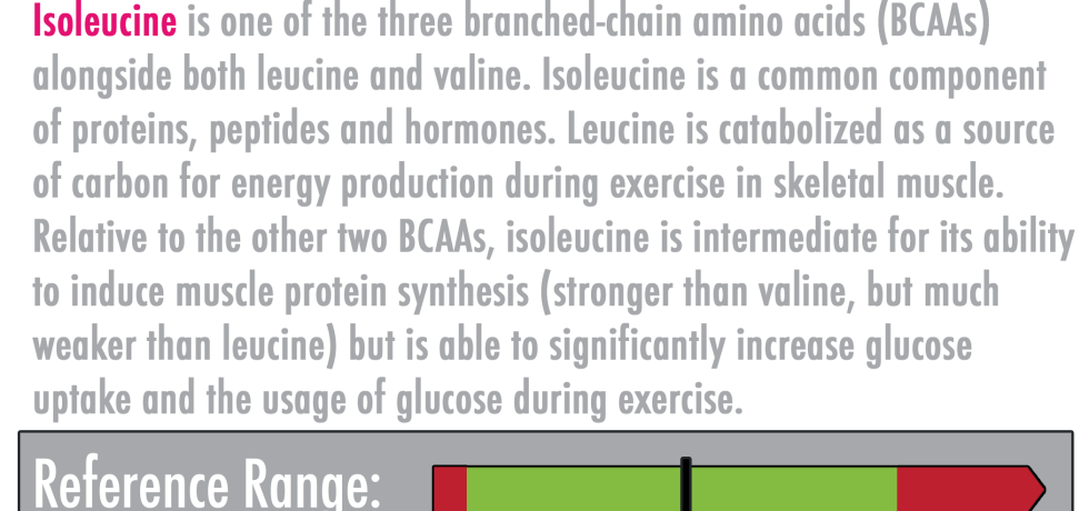 Isoleucine high low meaning treatment interpretive interpretation lab results explained protein bcaa amino acids high protein