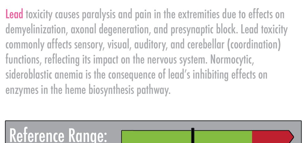 Lead toxicity high low meaning treatment symptoms prevention genova plasma urine hair
