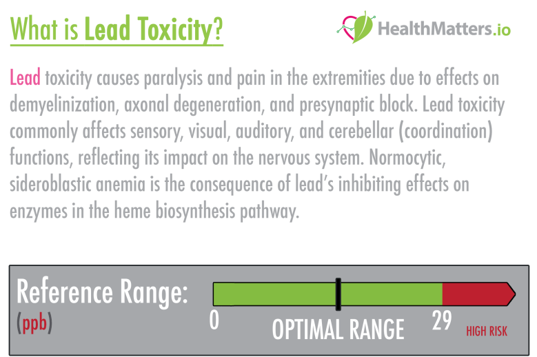Lead toxicity high low meaning treatment symptoms prevention genova plasma urine hair