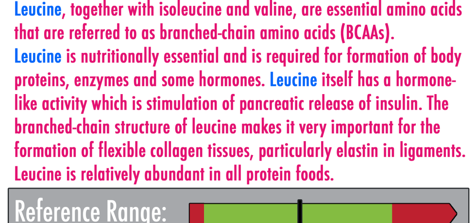 leucine high low meaning treatment interpretive interpretation lab results amino acids branch-chained vegan genova gdx healthmatters