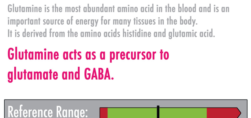 what is glutamine high low meaning glutamate glutamic acid GABA genova Neurotransmitters interpretive interpretation lab results urine