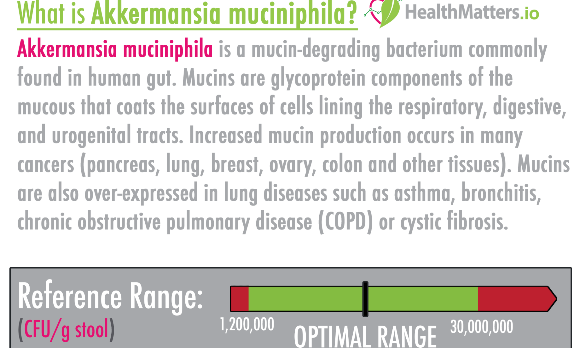 Akkermansia muciniphila high low meaning treatment gut biome